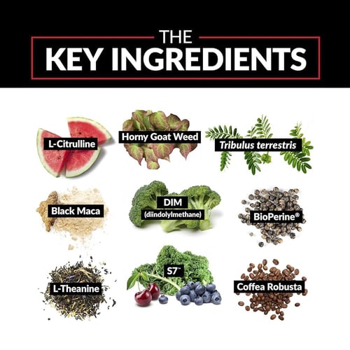 فورس فاكتور، SCORE! XXL، معزز الرجولة، مكمل غذائي...