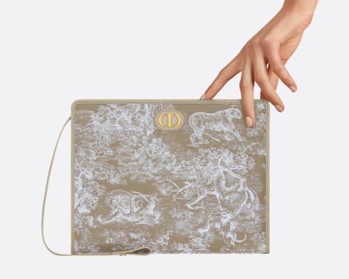 Dior pouch New color Dioriviera