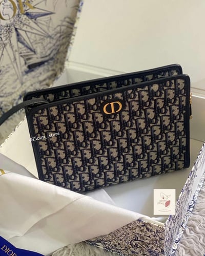 Dior pouch Montaigne
