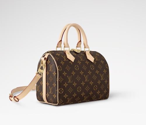 Louis Vuitton speedy 25 monogram