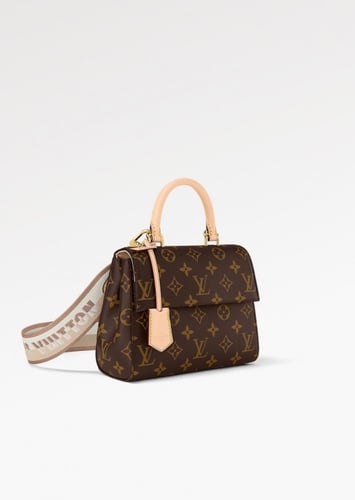 Louis Vuitton mini cluny