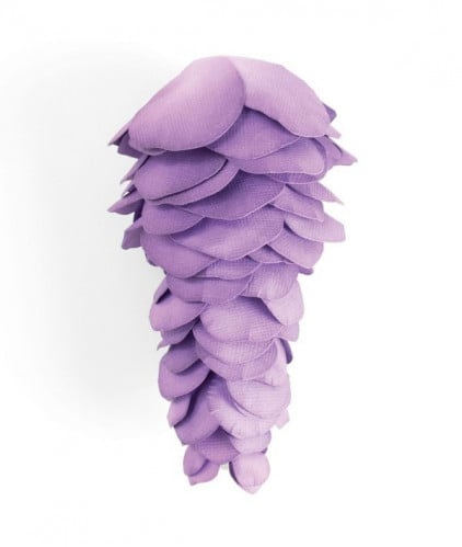 سيزكس قالب بيجز زهرة الوستارية