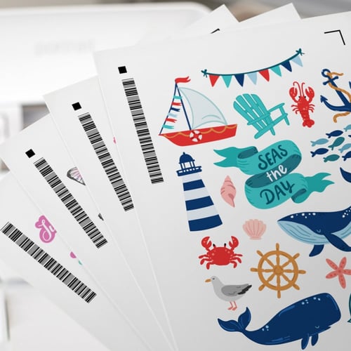 آلة تغذية الورق التلقائية A4 لل كاميو 4 و 5