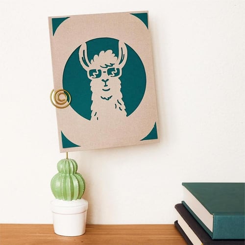 مجموعة كريكت جوي لبدء المشاريع