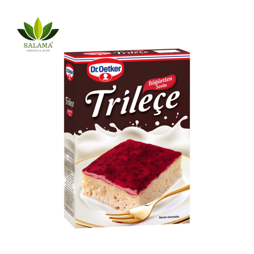 خلطة كيكة تراليشا بنكهة توت DR. OETKER