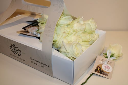 بوكس توزيعات يوم التأسيس