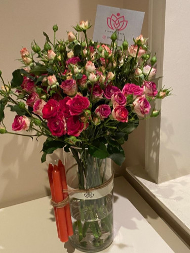 فازة بيبي روز فوشيا