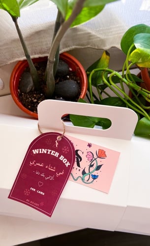 بوكس الشتاء بنفسجي