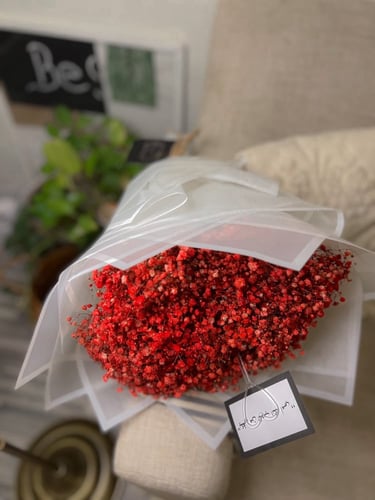 بوكيه الجبسوفيليا