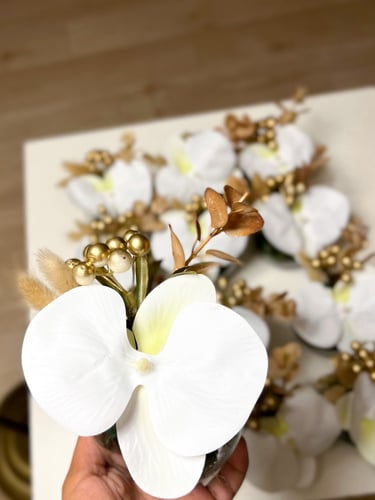 فازه ميني للتقديم