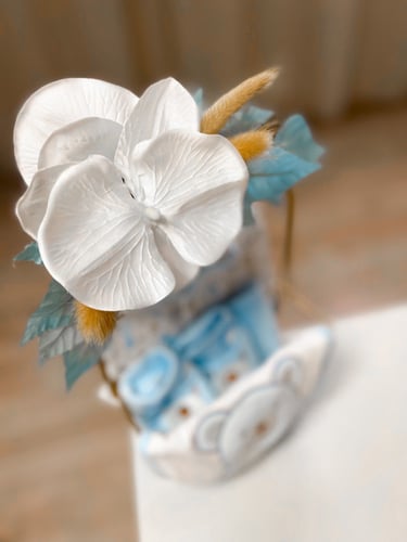 هديه مولود من جونيورز