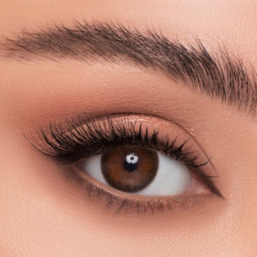 عدسات زينة 6أشهر من ليندا - تان