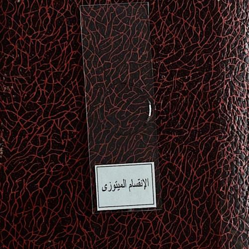 شريحة مجهرية للانقسام الميتوزي