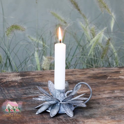 71597 شمعدان زهرة الشتاء الحالمة شابي شيك