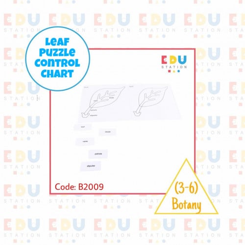 Leaf Puzzle Control Charts (English) - بطاقات أجزا...