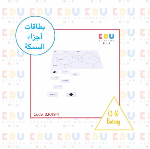 بطاقات أجزاء السمكة (عربي )