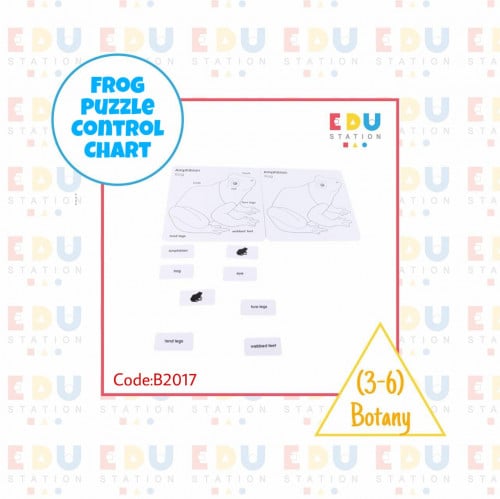 Frog Puzzle Control Charts (English) -بطاقات أجزاء...