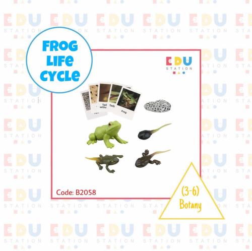 Frog Lifecycle (objects + cards + chart) - English...