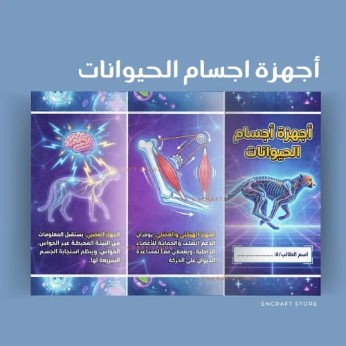 أجهزة أجسام الحيوانات
