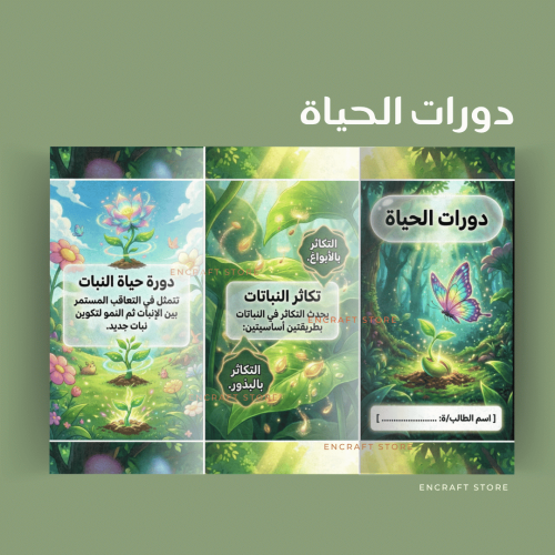 دورات الحياة