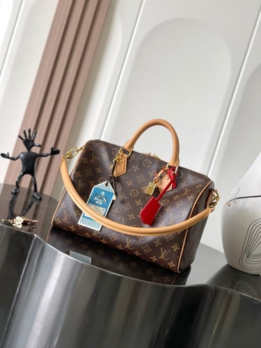 Louis Vuitton speedy30CM