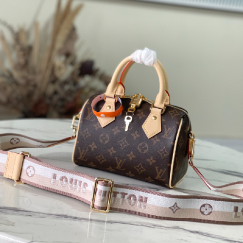 Louis Vuitton speedy 20CM