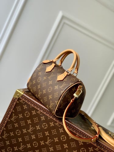 Louis Vuitton speedy 25CM