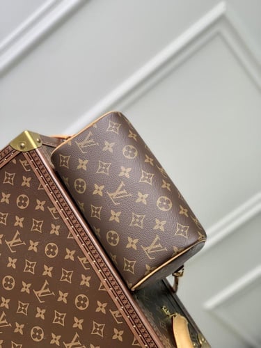 Louis Vuitton speedy 25CM