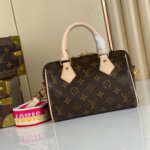 Louis Vuitton speedy 20CM