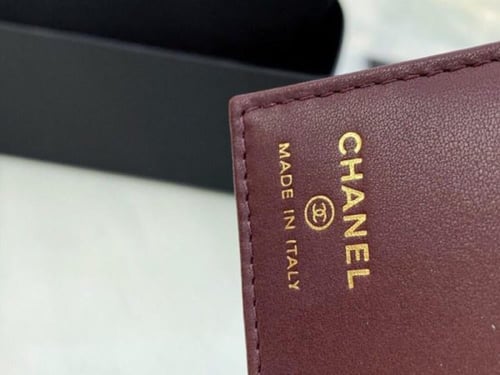 CHANILحامل جواز السفر