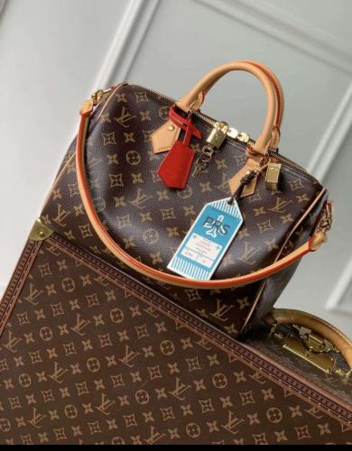 Louis Vuitton speedy30CM