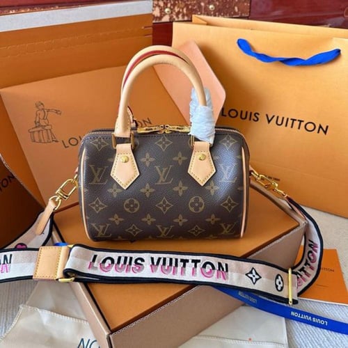 Louis Vuitton speedy 20CM
