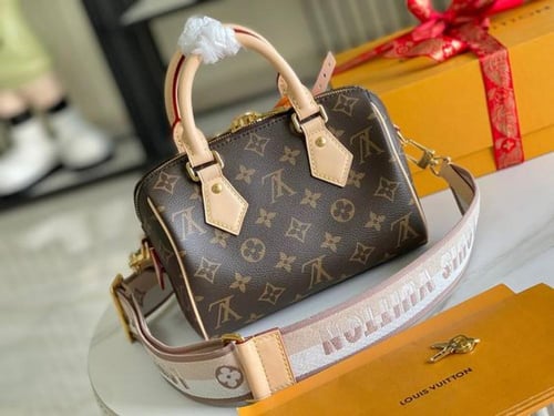 Louis Vuitton speedy 20CM