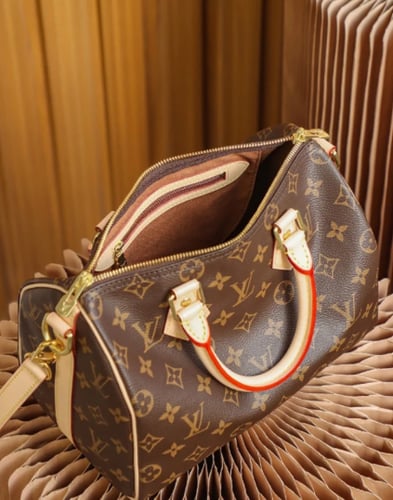 Louis Vuitton speedy 25CM