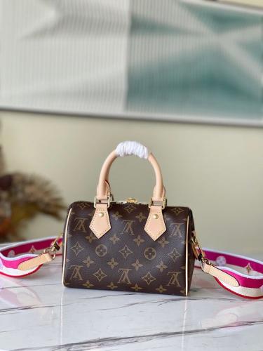 Louis Vuitton speedy 20CM