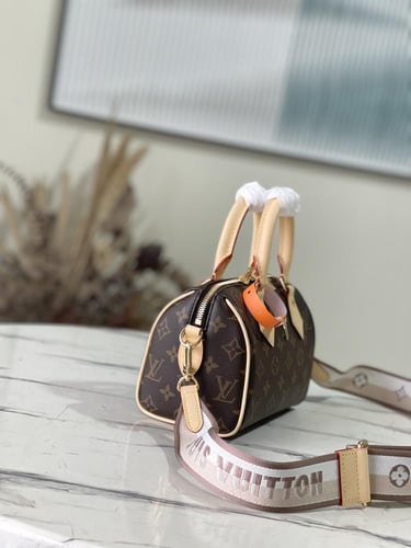 Louis Vuitton speedy 20CM