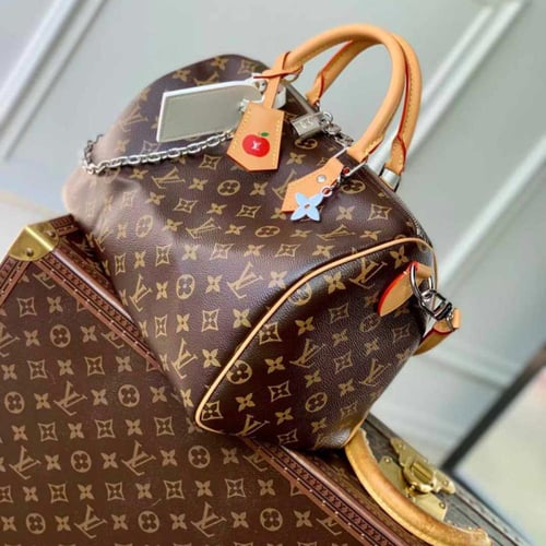 Louis Vuitton speedy30CM