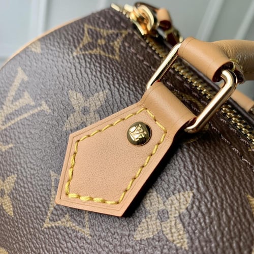 Louis Vuitton speedy 25CM