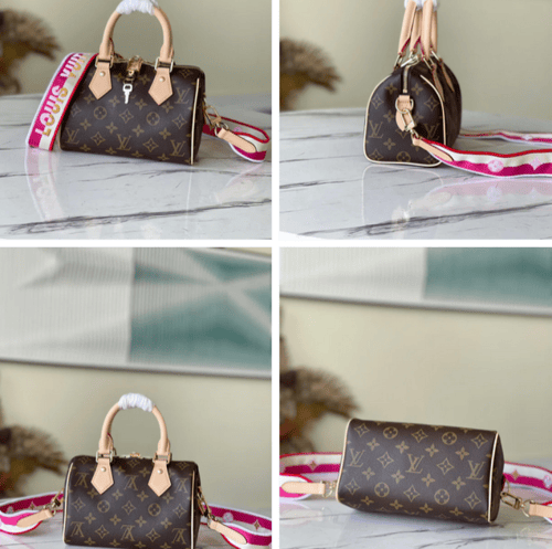 Louis Vuitton speedy 20CM
