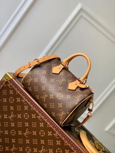 Louis Vuitton speedy 25CM