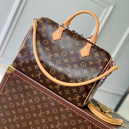Louis Vuitton speedy30CM