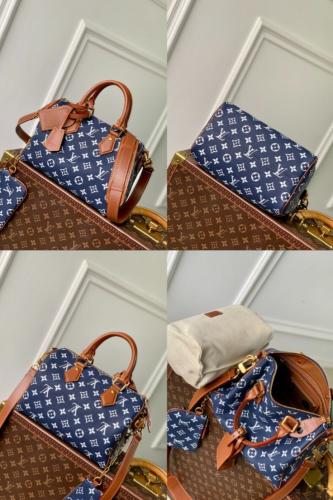 Louis Vuitton speedy 25CM
