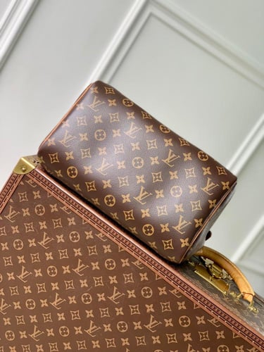 Louis Vuitton speedy30CM