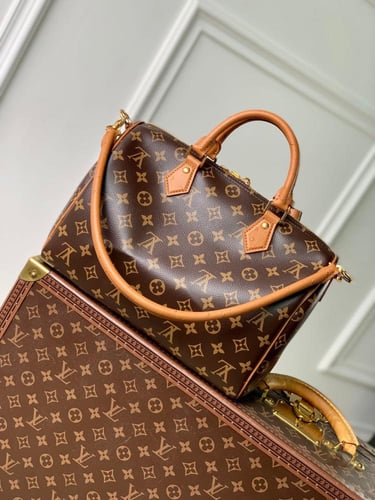 Louis Vuitton speedy30CM