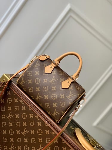 Louis Vuitton speedy 25CM