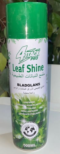Natural plant polish