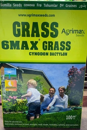 100 grass seeds