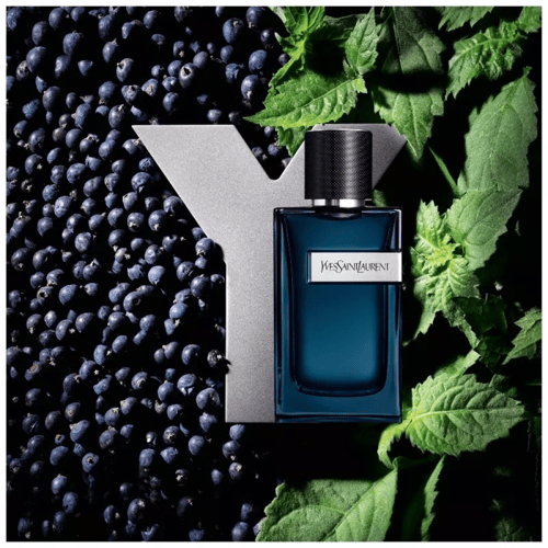 تستر واي إيف سان لوران أو دو بارفيوم انتنس الجديد...