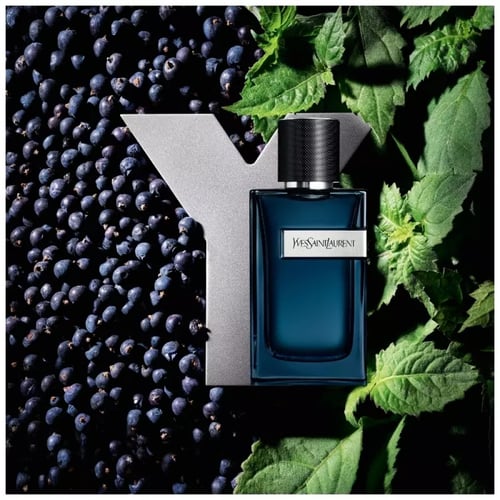 عطر واي إيف سان لوران أو دو بارفيوم انتنس الجديد 1...