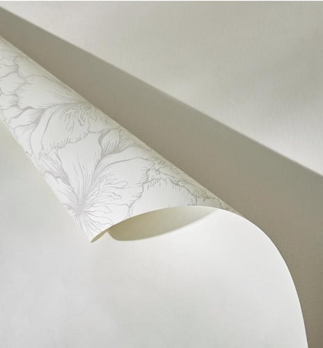 ورق تغليف هدايا مايو